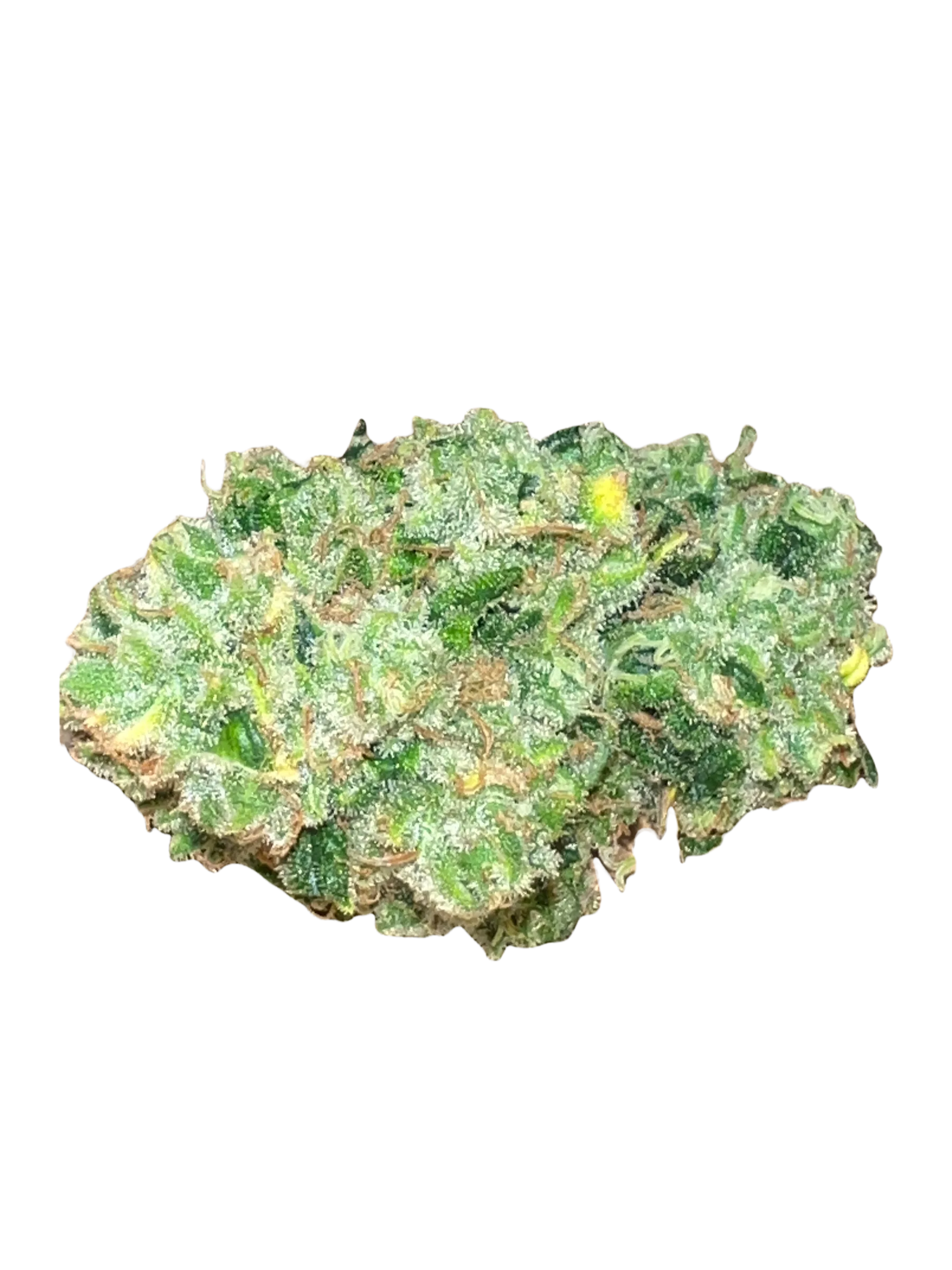 Greenhouse Grown Hemp Flower 1 oz / 28 grams | 4 NEW Strains | Highest CBD to THC ratios - Image 2