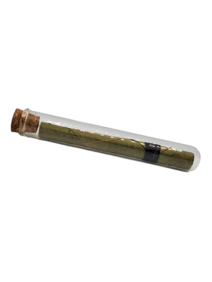 CBD Palm Rolls