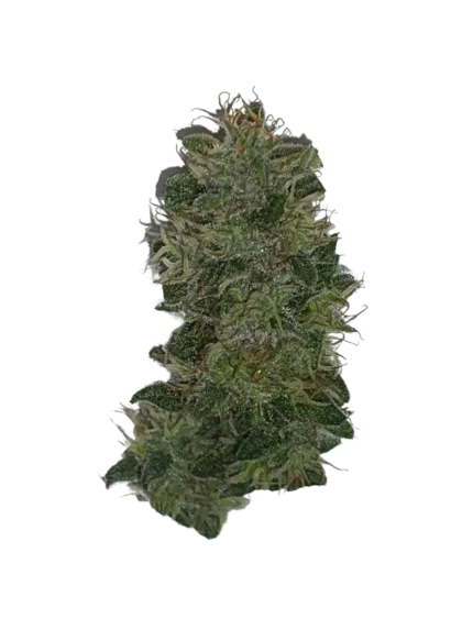 Delta 8 Flower