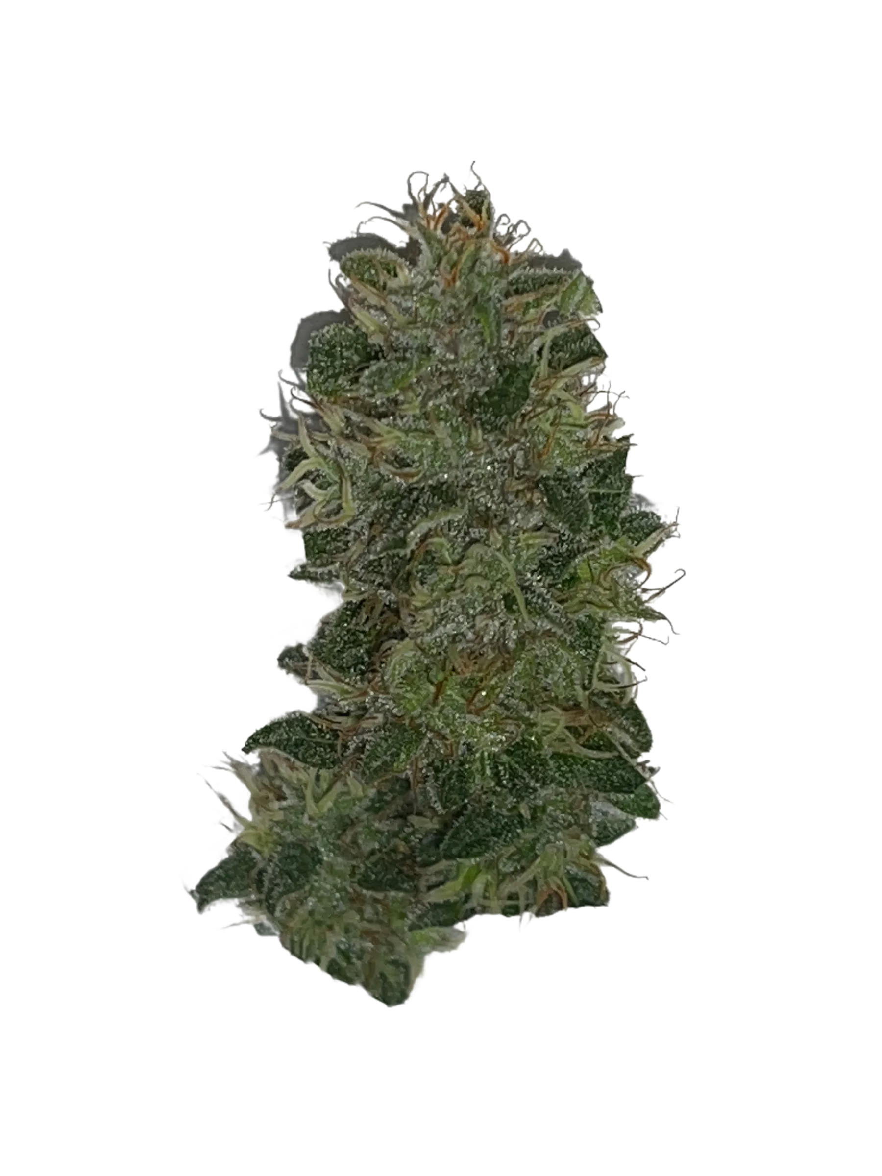 photoroom_20210814_224641-2.png Delta 8 Flower
