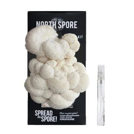 Lion's Mane Mushroom Spray & Grow Kit