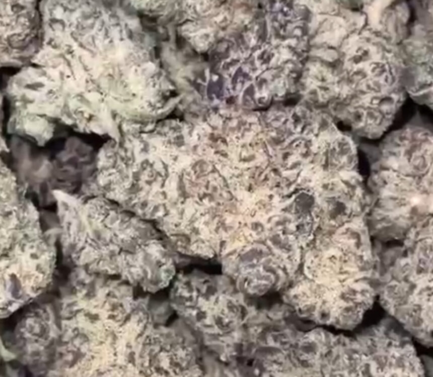 Ice Cream Paint Job THCA Flower Indoor Hydro AAA Dorrough's NEWEST